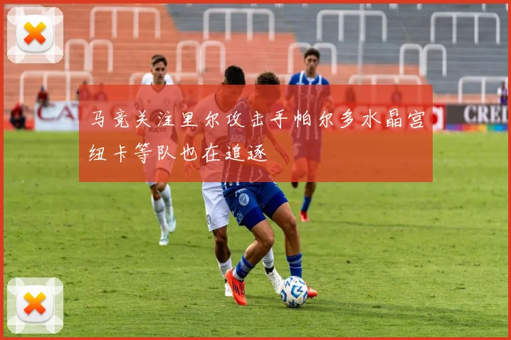 马竞关注里尔攻击手帕尔多水晶宫纽卡等队也在追逐